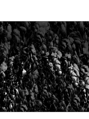 迷宫干 1-110話+日后談1-32話[完結]_A016012