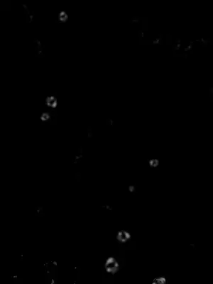 迷宫干 1-110話+日后談1-32話[完結]_A088016