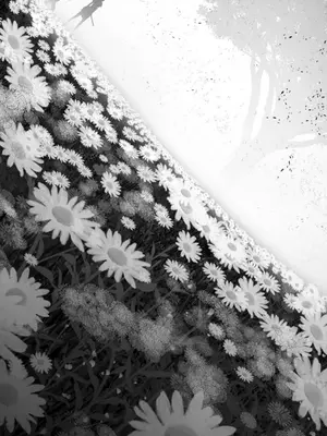 迷宫干 1-110話+日后談1-32話[完結]_A092018