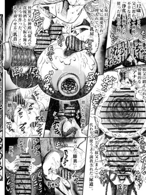 [ふくめい] 緑珠の記録 豊艶な侍祭の獣欲集団凌辱 (ゴブリンスレイヤー)_18