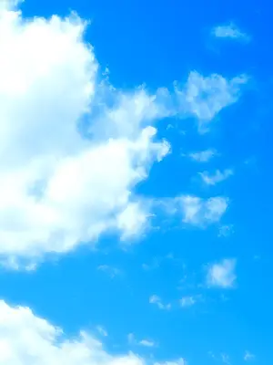 [MOONSTONE Cherry]ホめられて伸びるＳＲ少女たち_1185_10000