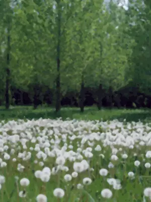 [MOONSTONE Cherry]ホめられて伸びるＳＲ少女たち_1197_ashihara