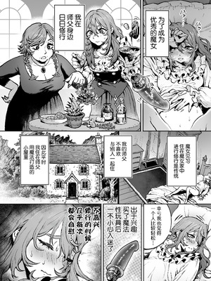 [おティー保管庫 (黒井ナトラ)] 見習い魔女、召喚ミスりました。｜见习魔女，召唤失误。 [莉赛特汉化组]_05