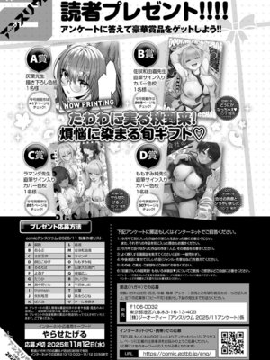COMIC アンスリウム 2025年11月号 [DL版]_494