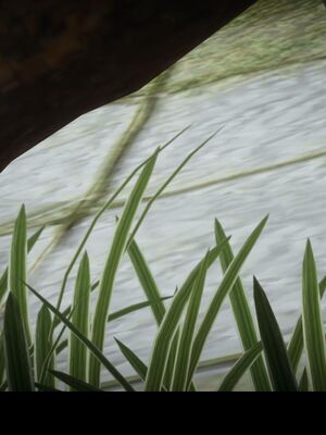 【闲得无聊的东坡居士】凌薇 第一季01-03全_0361