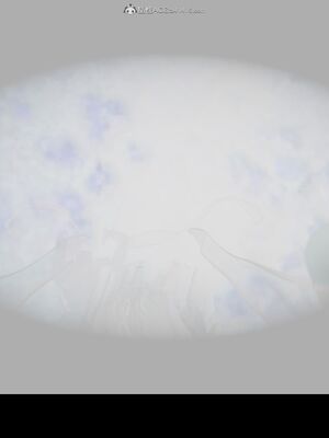 【闲得无聊的东坡居士】凌薇 第一季01-03全_0419