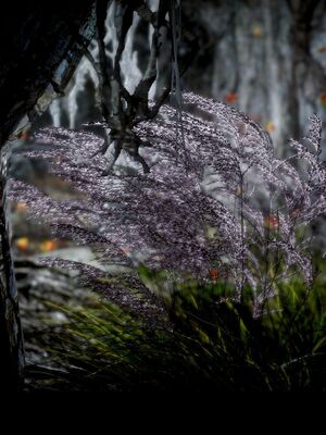 【闲得无聊的东坡居士】凌薇 第一季01-03全_0735