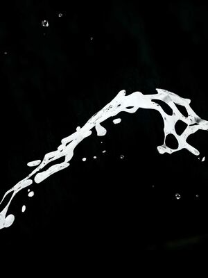 【闲得无聊的东坡居士】凌薇 第二季01-02_0011