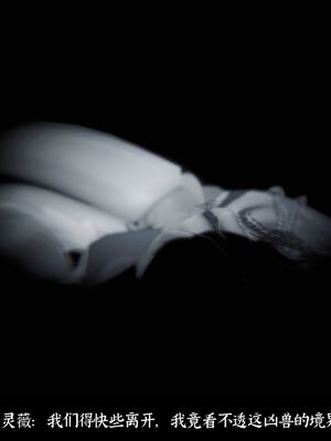 【闲得无聊的东坡居士】凌薇 第二季01-02_0057