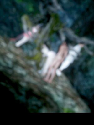 【闲得无聊的东坡居士】凌薇 第二季01-02_0192