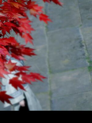 【闲得无聊的东坡居士】凌薇 第二季01-02_0405