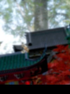 【闲得无聊的东坡居士】凌薇 第二季01-02_0406