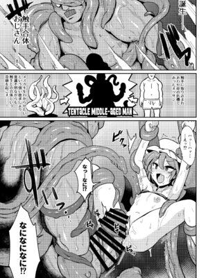 [MegaSoundOrchestra (三割引)] MSGKWR-Tentacle- (東方Project) [DL版]_18