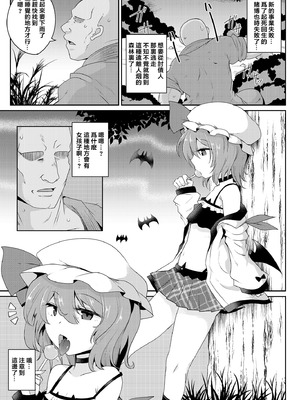 [MegaSoundOrchestra (三割引)] MSGKWR-Remy- (東方Project) [堕樱汉化组] [DL版]_04