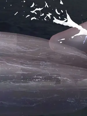 [咕咕] 邂逅丝袜会所 01-08_0610_5_10