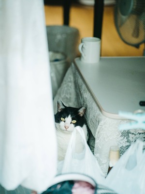 蠢沫沫 – 夏想(下）_0141