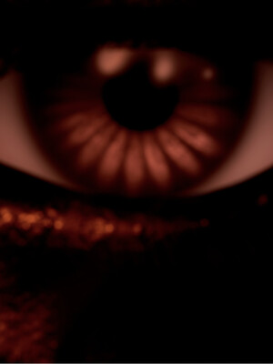 [百与森]恶堕_姐姐篇03_100