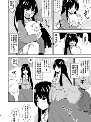 (秋季例大祭12)[ぜのさいど (是乃)] 籠もり暮らしの輝夜姫 (東方Project)_03