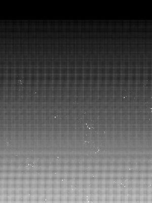 [ココアホリック (ユイザキカズヤ)] くうそうかがくしょうじょ -がーるずえっぐでぃすとぴあ総集編02- [DL版]_031