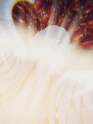 魔法少女外传（six与莉莉丝）_732