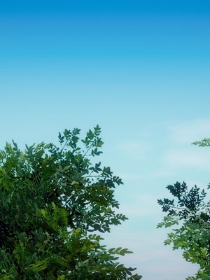 [bagnall] 神谕 第四季 05_077