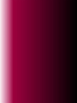 [水無月三日]人妻スパイとマフィアの息子3[中国翻译]_02