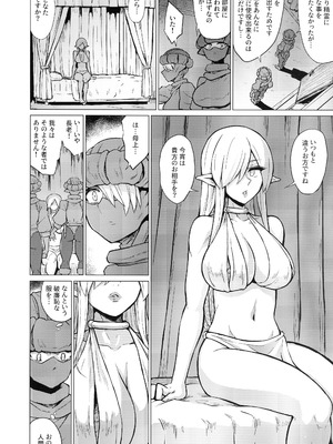 (C106) [V-SLASH (夕霧)] 淫欲に狂いしエルフ達の唄２_06