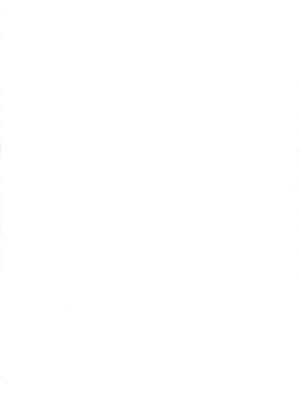 (C106) [太陽のけも小屋 (けも太陽)] ステフえっち (ノーゲーム・ノーライフ)_04