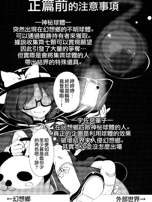 (C89) [ロリメイト (にーさん)] 無知にとりのともだちじょうずにできるかな？(東方Project) [中国翻訳]_06