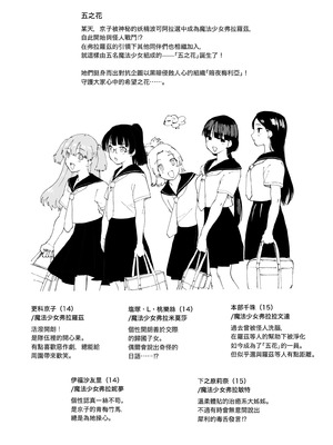 [首切り] 魔法少女シリーズ [Dcliang个人漢化]_25