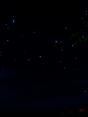 【phloxcc】离幻真玄录01-05_00072