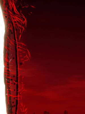 【phloxcc】离幻真玄录01-05_00564