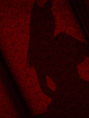 【phloxcc】离幻真玄录01-05_00608