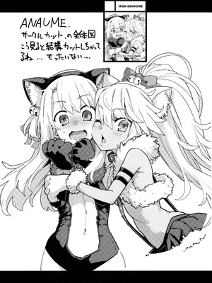 (C106) [IRON GRIMOIRE (SAKULA)] ビーストテイマー2 (Fate／Grand Order)_29