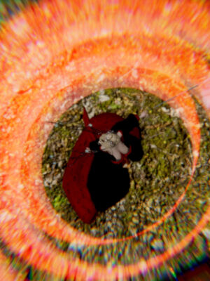 【Jayep】妖女大陆03中_009