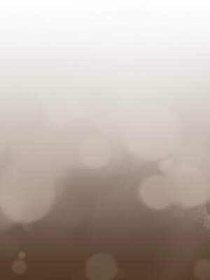 一份合約追回妳 54-55話_55_06_dimd