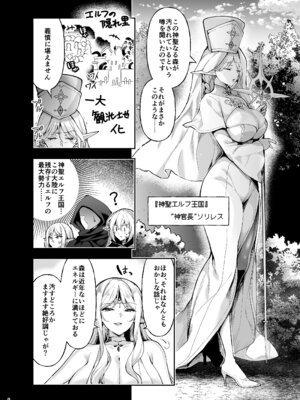 [にのこや (にの子)] エルフに淫紋を付ける本 LEVEL：9_04