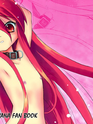 (コミコミ10) [鋼鉄力企画 (大秦国王安敦)] SX (灼眼のシャナ) [中国翻訳]