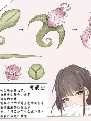 [Gura Craft]蟲研究レポート_ Character profile No.01-29[中国翻訳][疏碼]_034