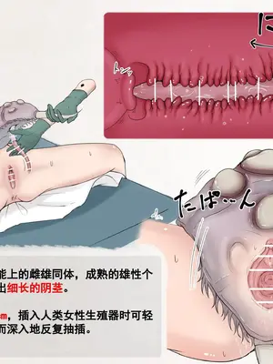 [Gura Craft]蟲研究レポート_ Character profile No.01-29[中国翻訳][疏碼]_052