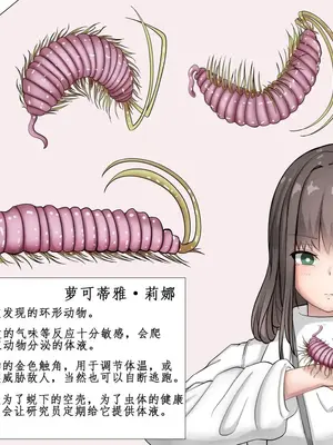 [Gura Craft]蟲研究レポート_ Character profile No.01-29[中国翻訳][疏碼]_064