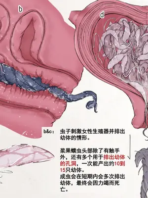 [Gura Craft]蟲研究レポート_ Character profile No.01-29[中国翻訳][疏碼]_125