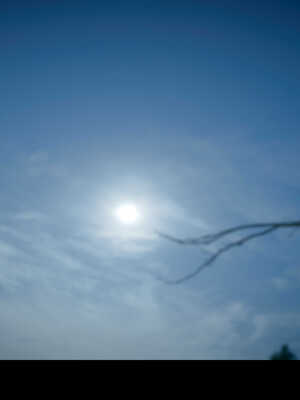 [Mr. Carrot]新版凌薇2.1_069