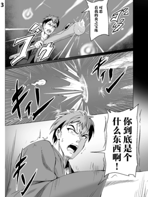 [白夜Part2 (てんらいX)]敗れた賢者|败北的贤者 1~2+3先行本[中国翻訳][紫藤汉化组][DL版]_047