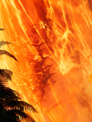 [水鱼]花合斗之夜_014