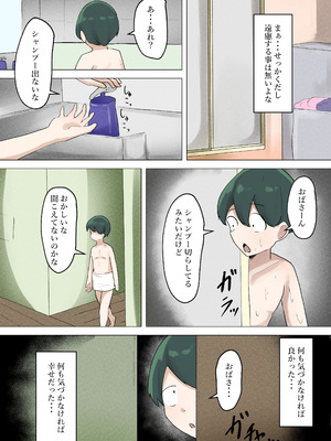 [丸井すくえあ (シャフレンメ)] ぼくが慕っていた隣のおばさんはただの変態ドスケベおばさんでした (オリジナル)_05