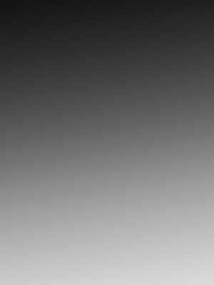 [ほるもんカレー (鳶村)] とことんやっちゃう杏山カズサ (ブルーアーカイブ)｜榨乾到底～杏山千紗 (1) [中国翻訳] [無修正] [DL版]_45