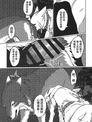 (関西けもケット10) [ネコノシュウカイジョ (猫又)] ETERNAL FIRST [海豚之涌众筹汉化]_16