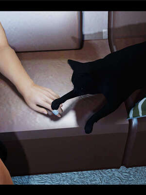 【ses21】新聊斋志异00-05_00850