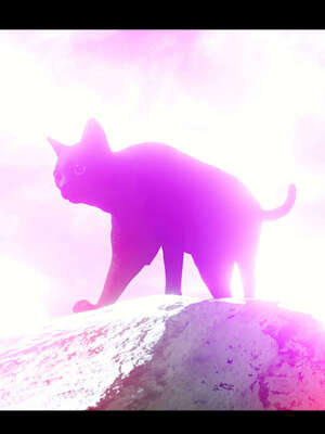 【ses21】新聊斋志异00-05_01153